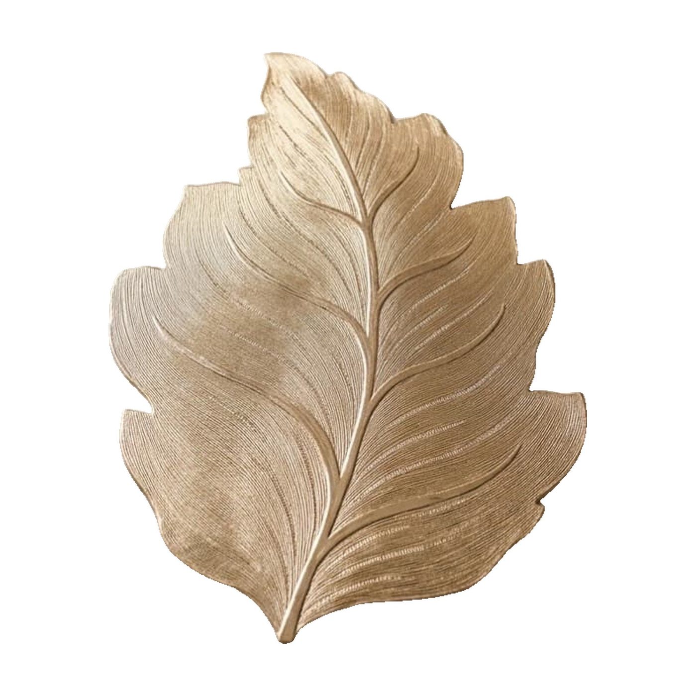 Chinar Leaf, product on a white background